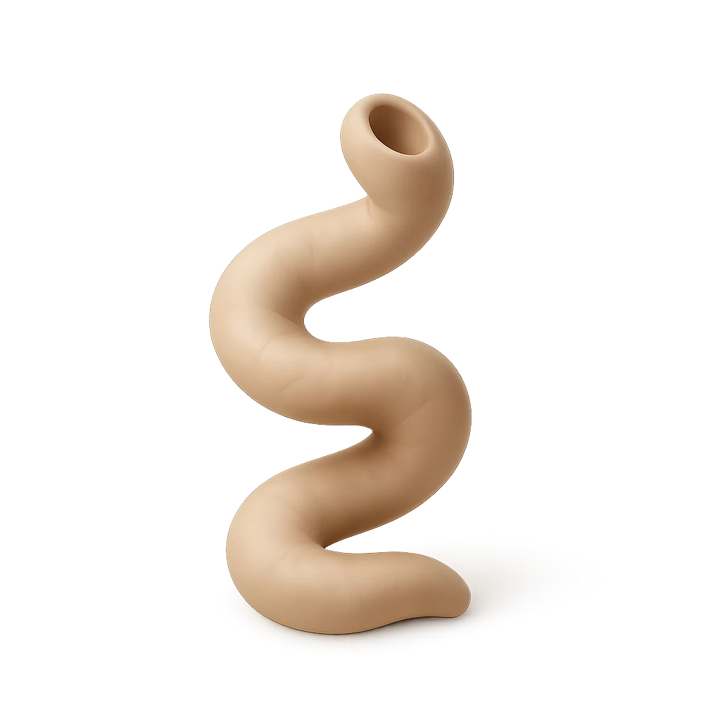 Jellyfish Worm Shell